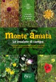 Monte Amiata · Le insalate di campo