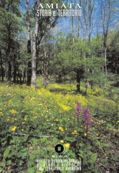 Amiata Storia e Territorio n.60