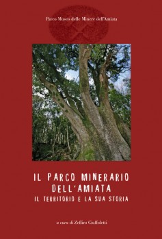 Il Parco Minerario dell’Amiata · Il territorio e la storia