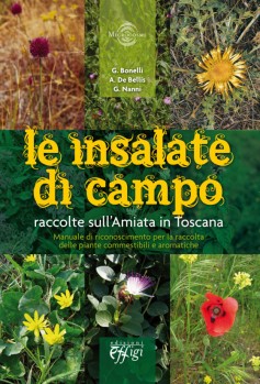 Le insalate di campo raccolte sull’Amiata in Toscana