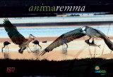 Animaremma