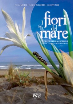 I fiori del mare