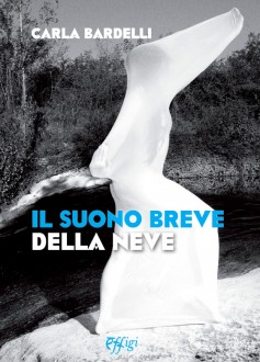 Il suono breve della neve