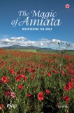 The Magic of Amiata