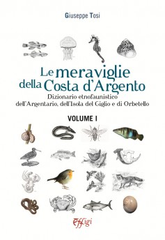 Le meraviglie della Costa d’Argento · Volume I