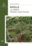 Roselle · La domus presso l’Anfiteatro