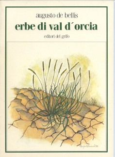 Erbe di Val d’Orcia