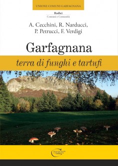 Garfagnana terra di funghi e tartufi