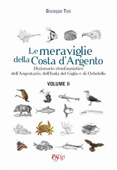 Le meraviglie della Costa d’Argento · Volume II