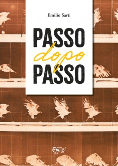 Passo dopo passo